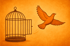 Ein orangefarbener Vogel fliegt aus einem geöffneten Käfig auf einem strukturierten orangefarbenen Hintergrund.
