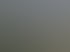 Visualisierung PINUS