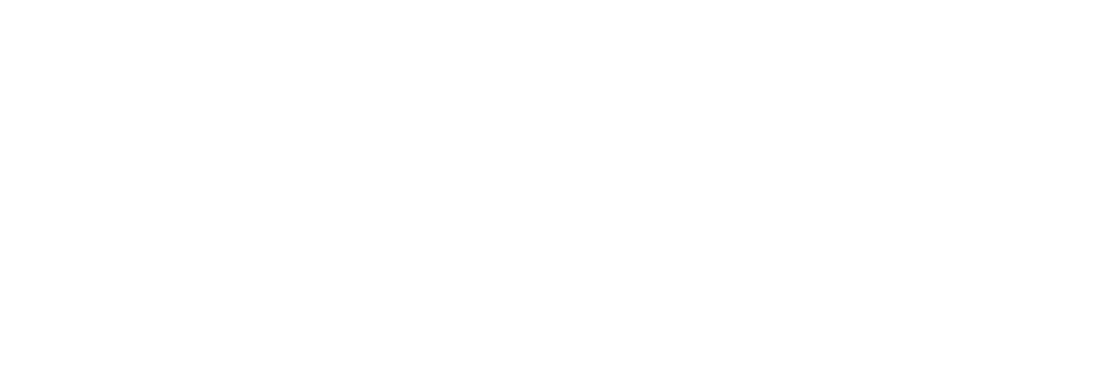 Weißer Text "blynq" auf dunkelgrünem Hintergrund.