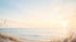 Sonnenaufgang über dem ruhigen Meer mit Sanddünen und Gräsern im Vordergrund.