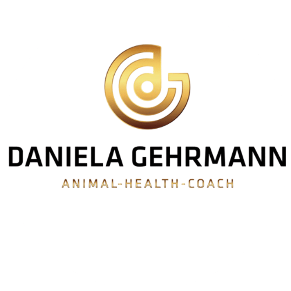 Goldenes "FR MEDIA" Logo mit einer Filmklappe und einem geschwungenen Element auf dunklem Hintergrund.