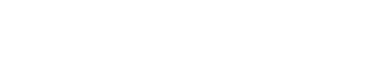 Logo DM WIG Schweisstechnik
