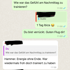 WhatsApp-Chat: "Wie war das Gefühl am Nachmittag zu trainieren?" "Hammer. Energie ohne Ende."