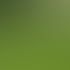 Grüner Rasen im Garten mit einer Wäscheleine und bunten Klammern.