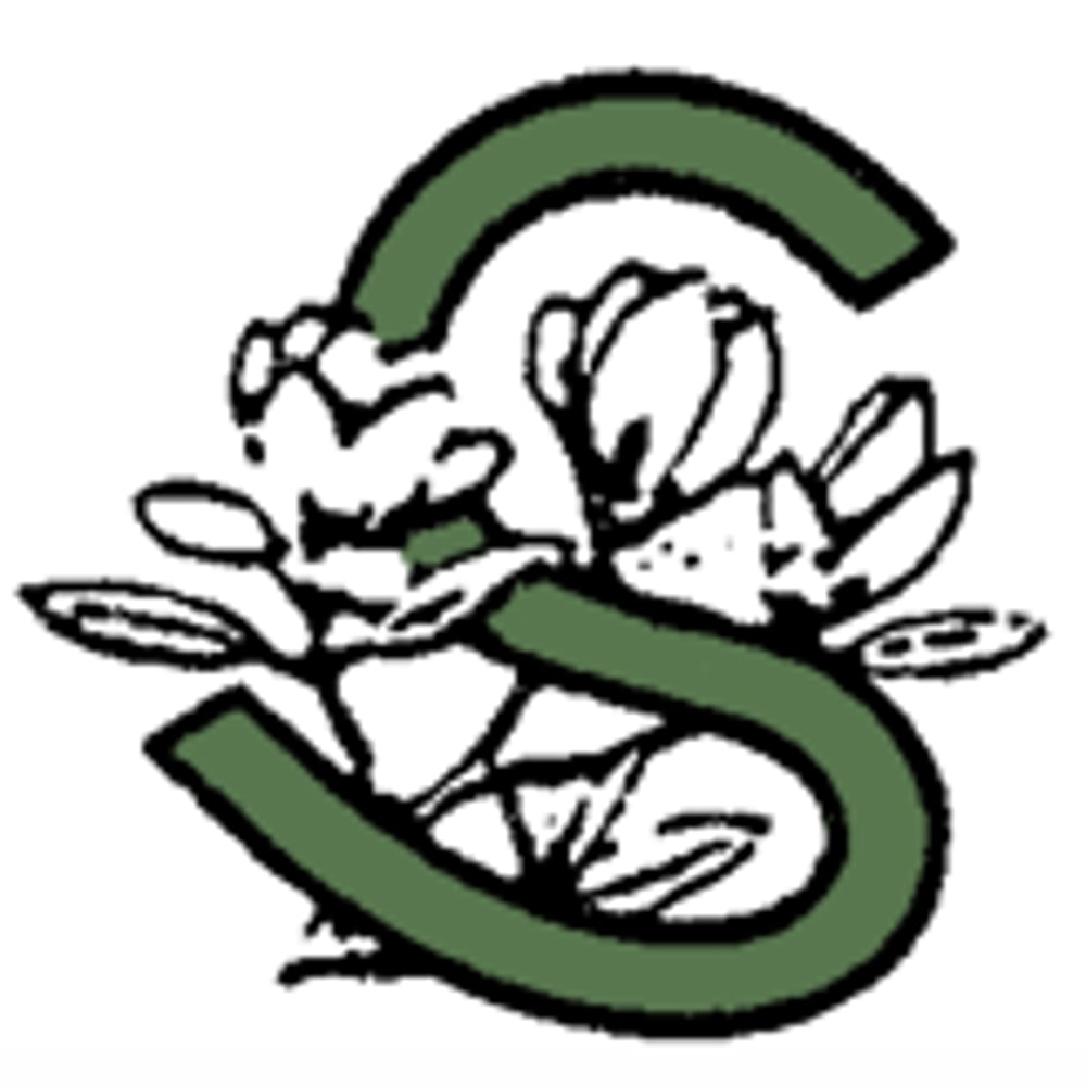 Grünes stilisiertes "S" mit Blumen und Blättern.