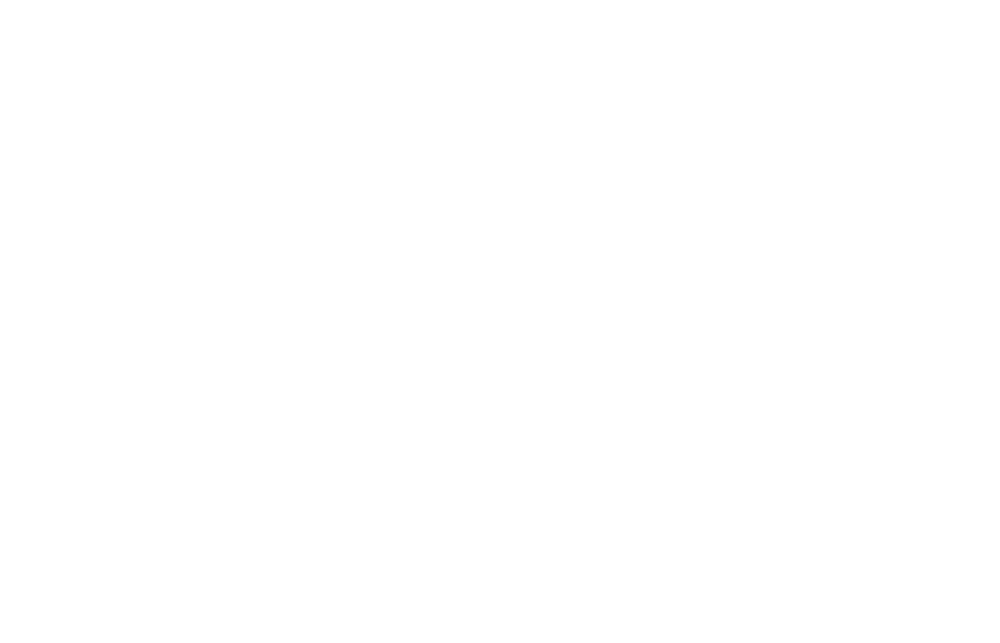 Baltic Games Fest 2025 Audience Award text in white, framed by two white laurel branches on a green background.