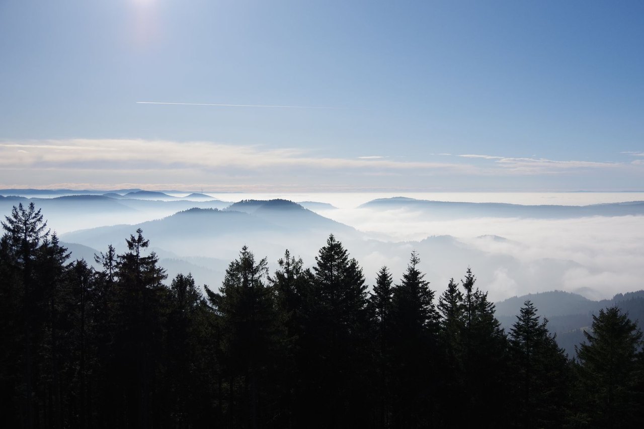 Google Ads Agentur Bruchsal – Landschaft im Kraichgau am Rand des Schwarzwalds