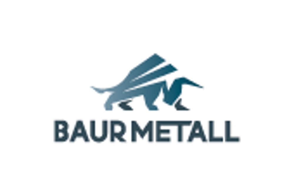 Blaues Stier-Logo mit dem Text "BAUR METALL" darunter auf weißem Hintergrund.