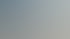 Visualisierung PINUS