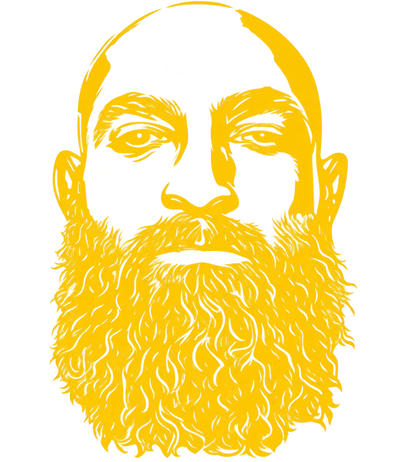 orsights