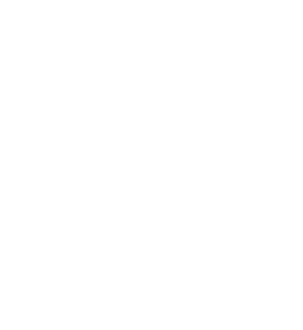 Logo: NIRO, fünf Sterne, "OFFIZIELLER VIP-PARTNER", und GE-Logo, alles in Weiß auf grünem Hintergrund.