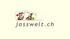 Nico Neumaier Performance‑Marketing‑Experte mit brndbear marketing jasswelt.ch