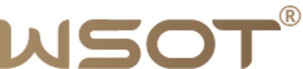Logo WSOT