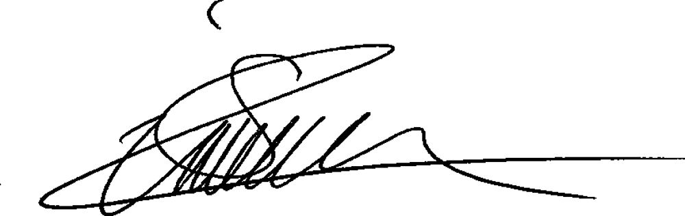 Schwarze Unterschrift auf einem grünen Hintergrund.