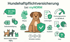 Hundekrankenversicherung bei myNORM: Kosten, Leistungen und der beste Weg zum passenden Tarif. Jetzt Tarif vergleichen.