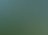Grüne Rasenfläche mit Büschen und Bäumen neben einer Straße mit Gebäuden und Bergen im Hintergrund.