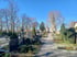 Friedhof Bensheim-Mitte