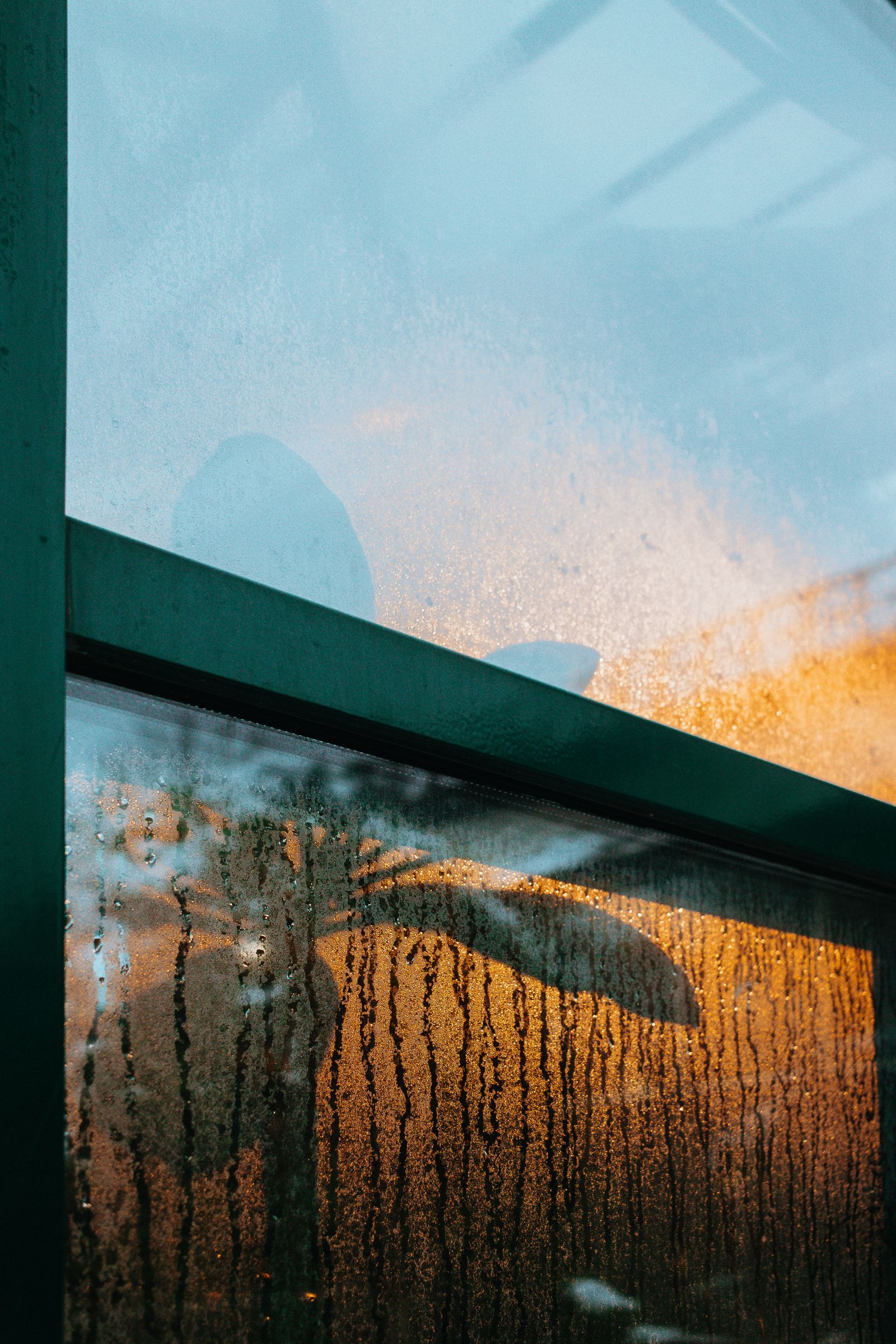 Foggy double-pane window with condensation across the glass in a Sunnyvale home