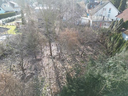 Blick von oben auf einen Garten mit kahlen Bäumen und Sträuchern, Häuser im Hintergrund.
