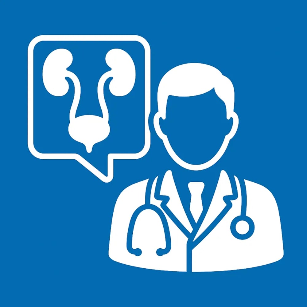 Arzt mit Stethoskop und Sprechblase, die das menschliche Harnsystem mit Nieren und Blase zeigt.