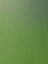 Gartenpflege und Heckenschnitt in Marl | Rasen Richter