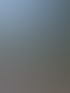 Ein schwarzer Weg führt zu einem See mit Bäumen und einem großen Informationsbrett unter blauem Himmel.