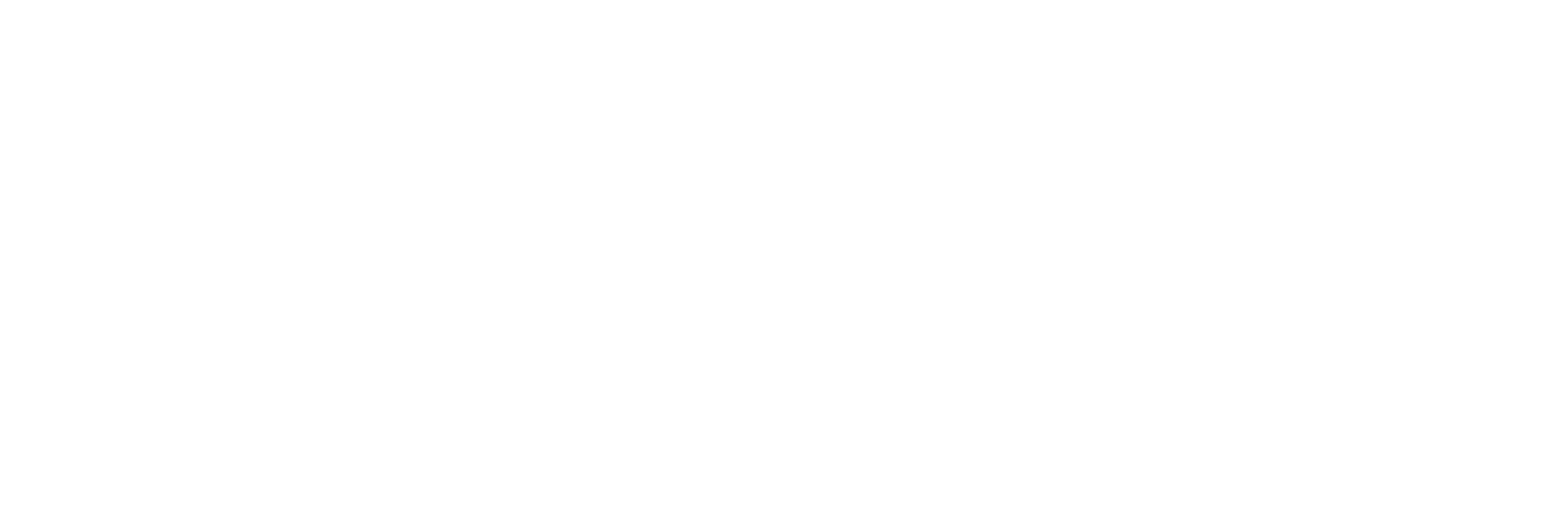 SMART11 Logo