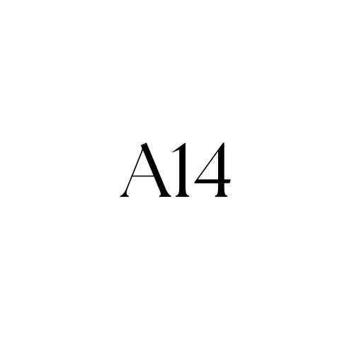 Partner 4