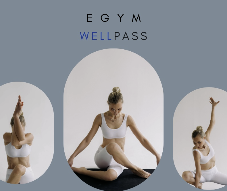 Wir sind offizieller EGYM Wellpass Partner
