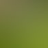 Nahaufnahme von Händen mit Handschuhen bei der Grünpflege und Gartenpflege in Wolfsburg und Braunschweig.