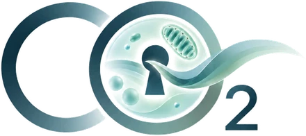 CO₂ — The Safety Molecule