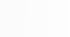 Kundenstimme über SPEEDSCALING