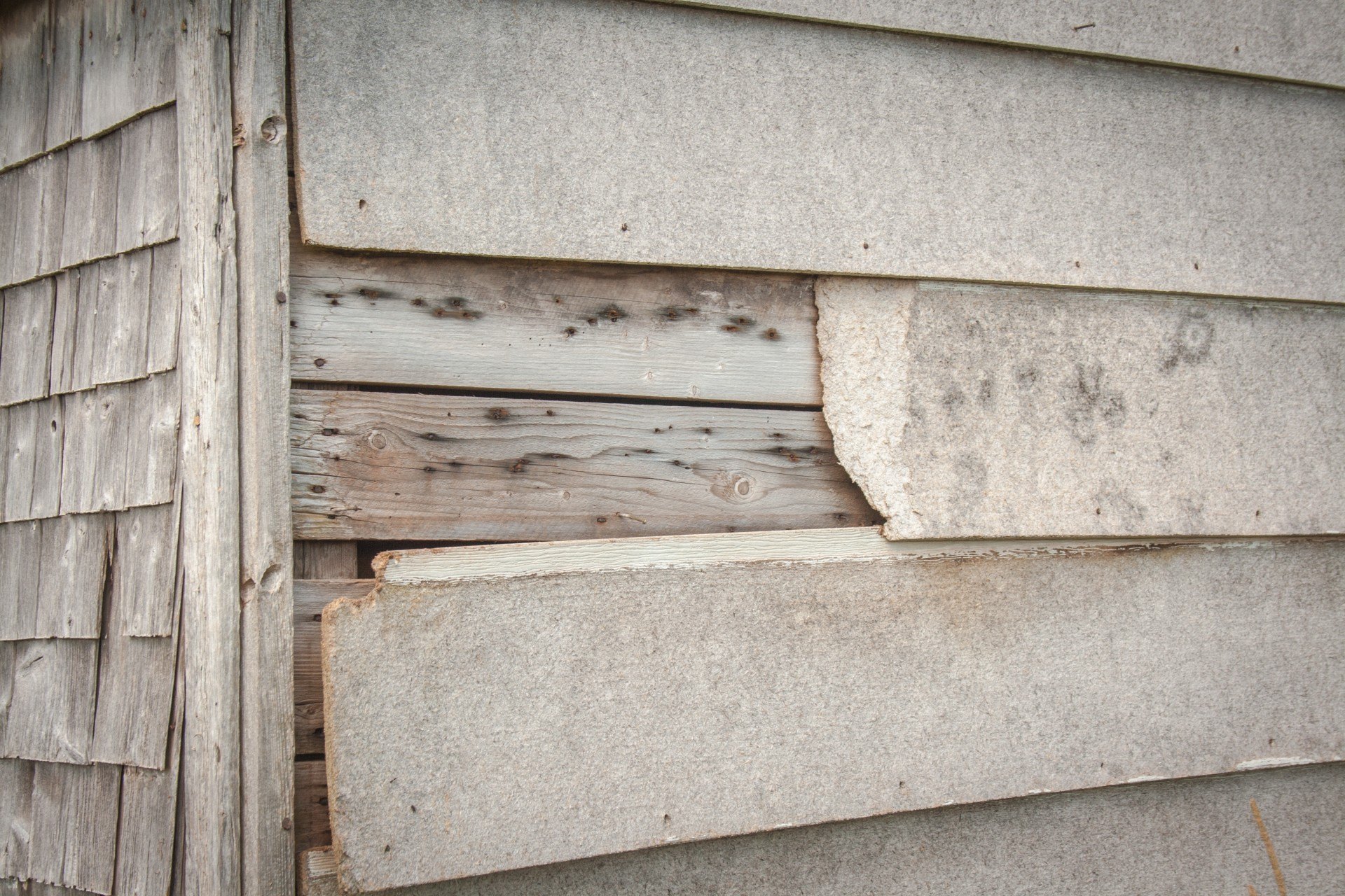 How to Spot Water Damage in Siding and Resolve the Problem
