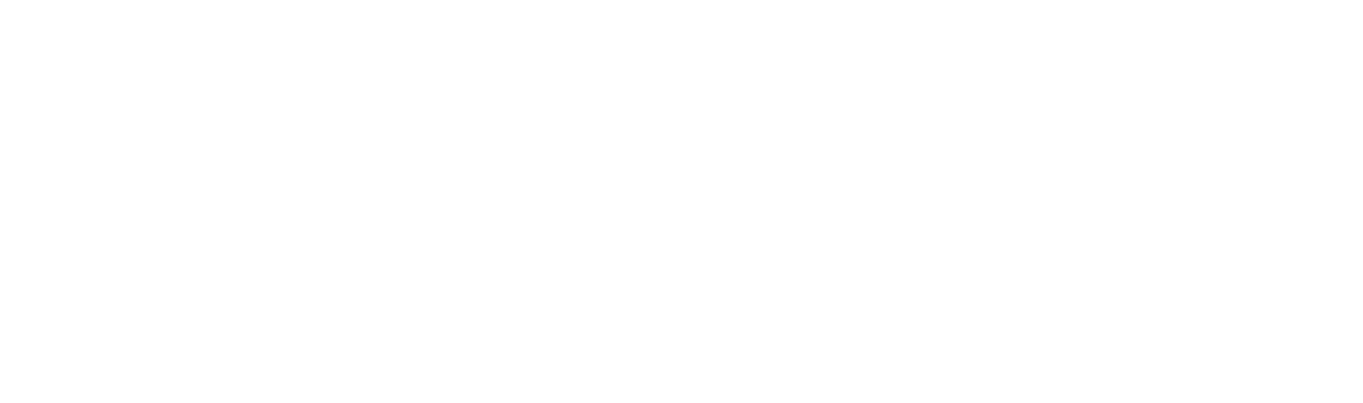 AMC Advise Media Consulting