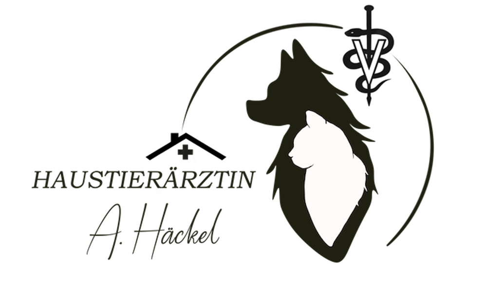 Logo der Haustierärztin A. Häckel mit den Silhouetten eines Hundes und einer Katze vor schwarzem Hintergrund.