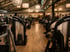 Modernes Fitnessstudio mit SportsArt Kraftgeräten, Holzboden und runden Hängeleuchten unter einer Industriedecke.