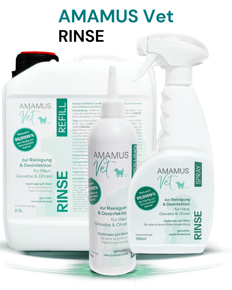 RINSE