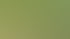 Forstservice Frankfurt (Oder) | Forstservice Winnige
