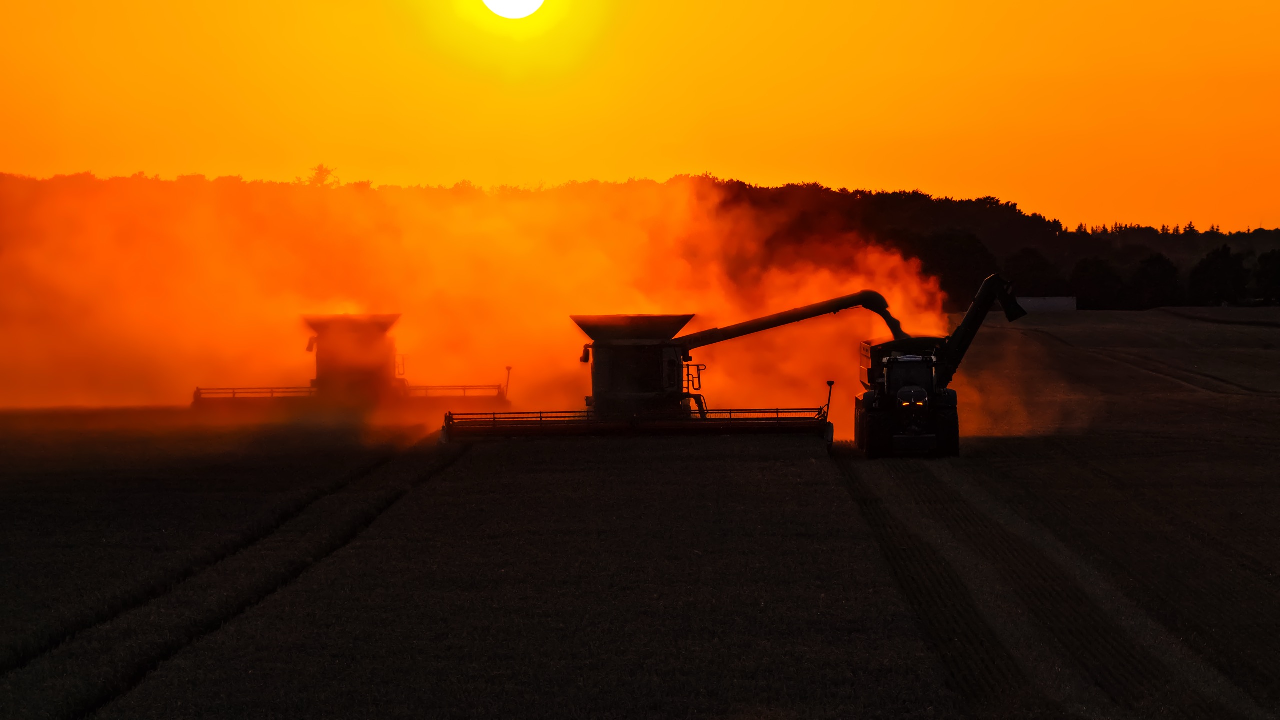 Mähdrescher und Traktor bei der Ernte im warmen Gegenlicht