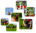 Montage von fünf Drohnenpiloten in Warnwesten bei der Arbeit im Freien.