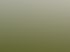 Gartenpflege & Heckenschnitt in Viersen | N. Schreiber