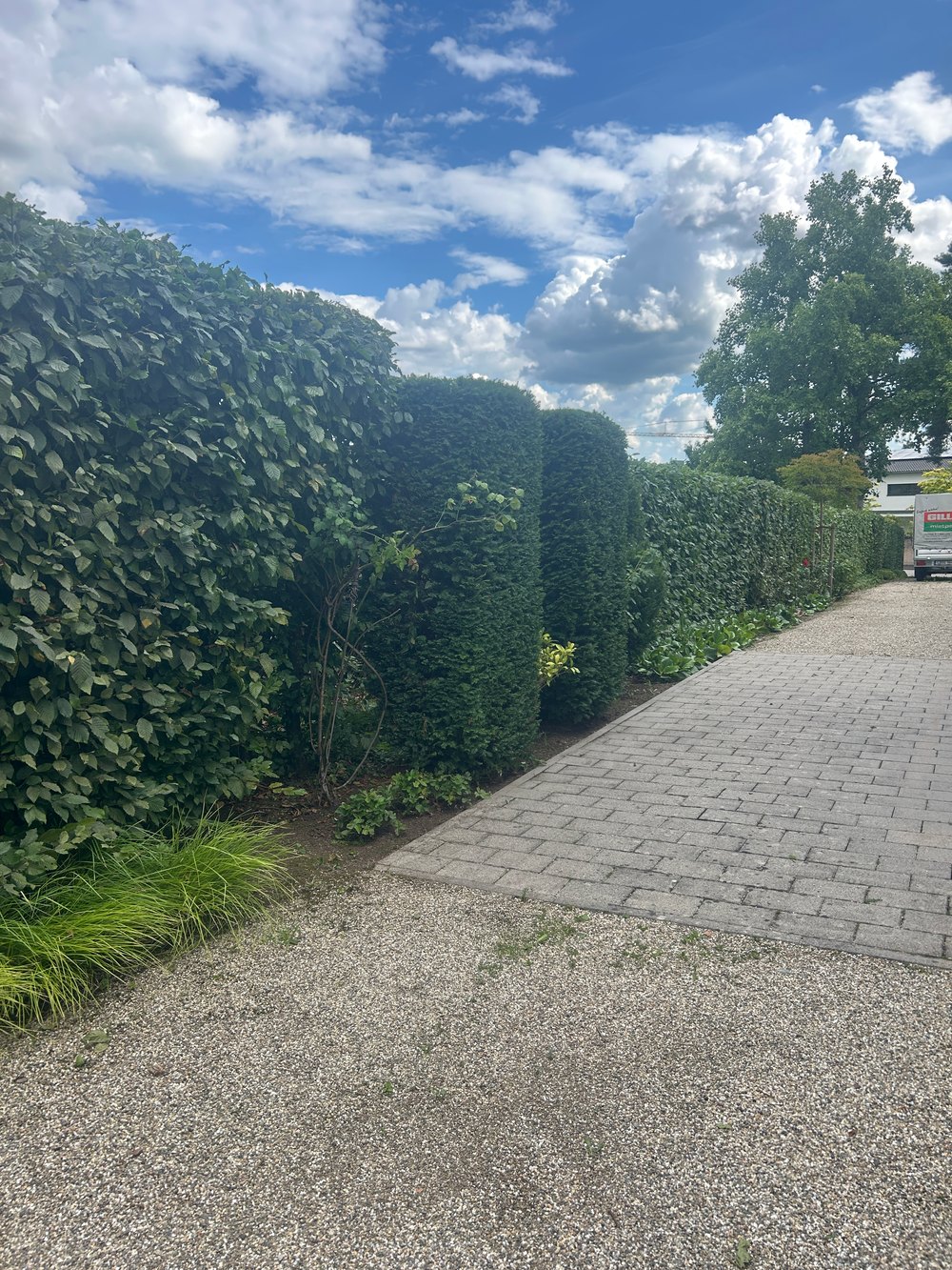Gartenpflege im Abo: Beispiel aus unseren Projekten