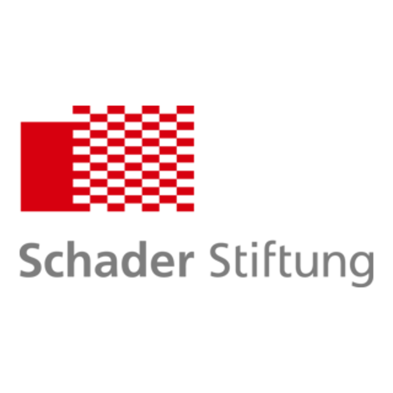 Schader-Stiftung Logo