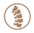 Braunes Icon einer menschlichen Wirbelsäule in einem Kreis auf schwarzem Hintergrund.