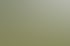 Zwei Wanderer mit Trekkingstöcken gehen an einer Birke vorbei durch eine grüne Hügellandschaft unter bewölktem Himmel.