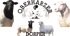 Vier Schafe und ein Logo mit "OBERHARZER DORPER" vor einem Sonnenuntergangshintergrund.