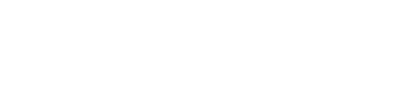 Logical Lemon GmbH