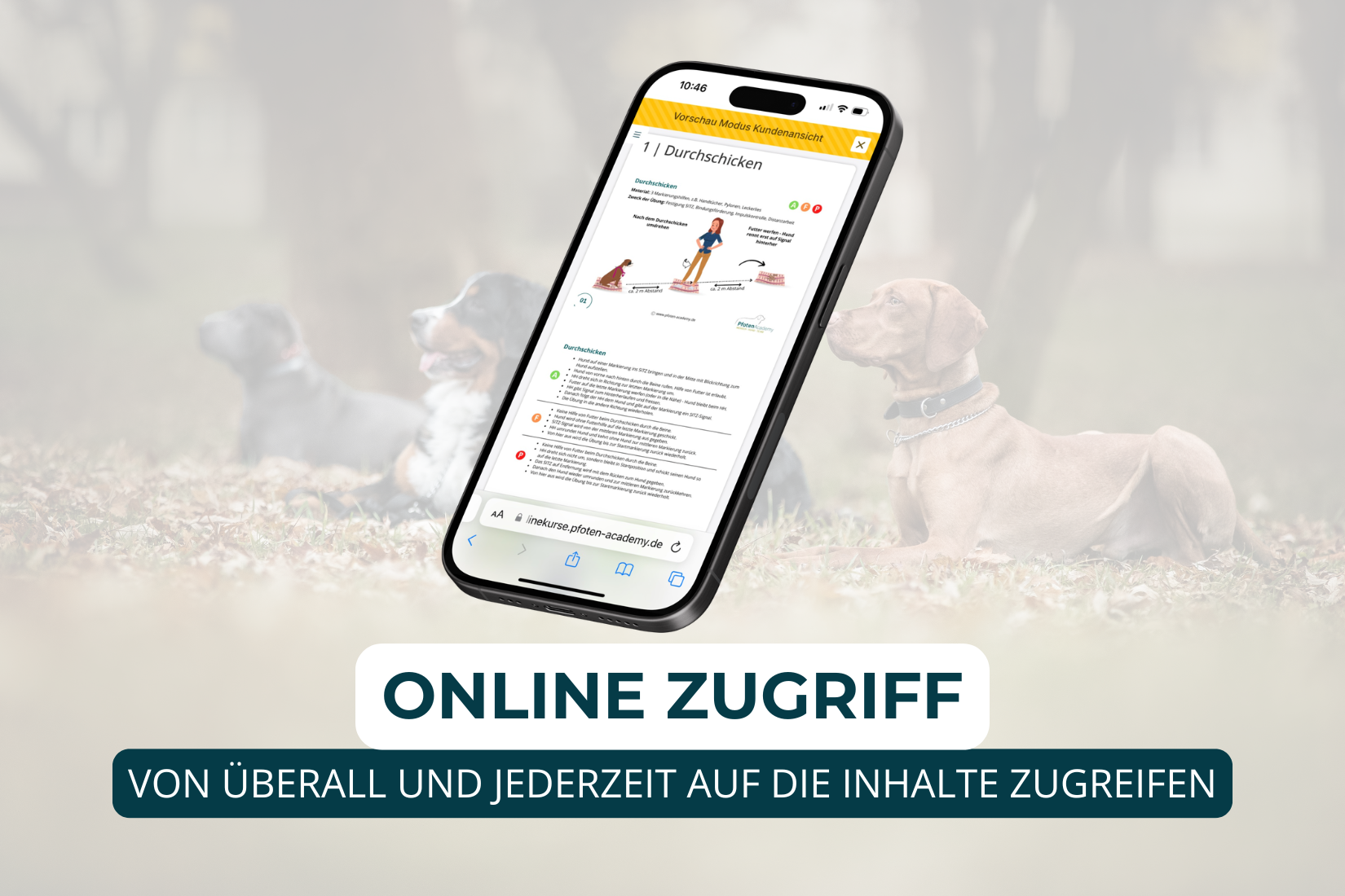 Übungskarten Set Social Walk – Bild 5