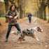Eine Frau in einer braunen Jacke zieht an einer roten Leine, während ein Australian Shepherd nach vorne stürmt.