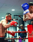 Zwei Boxer mit roten und blauen Handschuhen stehen sich im Ring gegenüber.